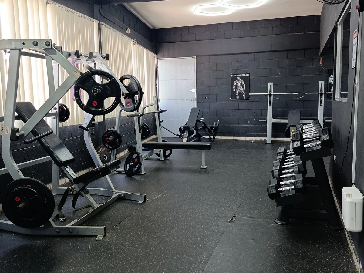 Área de mancuernas y bancas de Spartan Fitness